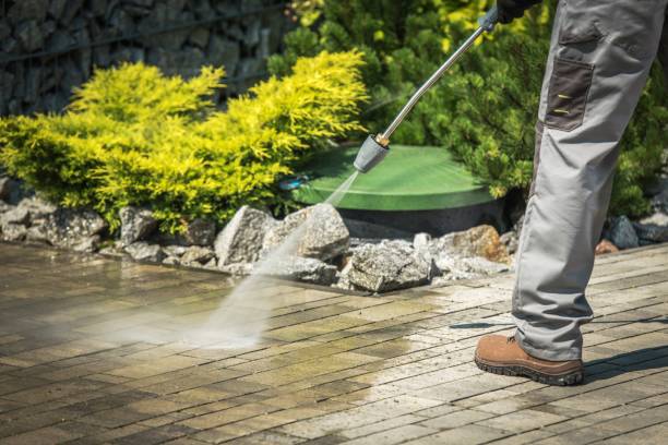 Best Animal Enclosure Cleaning  in East Highland Park, VA