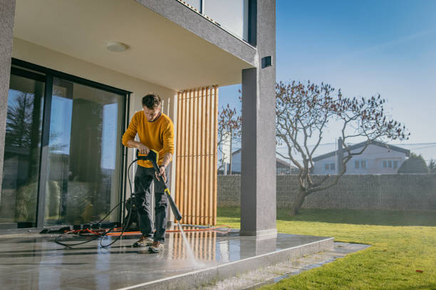 Best Spring Cleaning  in East Highland Park, VA