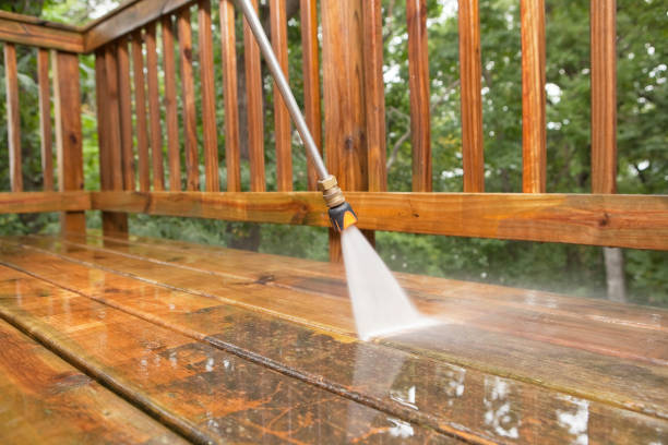 Best Building Exterior Washing  in East Highland Park, VA